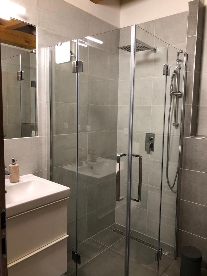 Anico Apartmany Dolni Benesov Exterior foto
