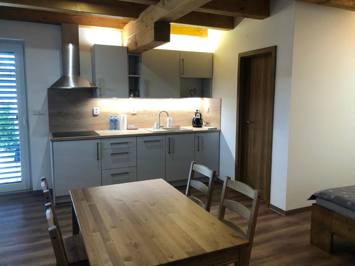 Anico Apartmany Dolni Benesov Exterior foto