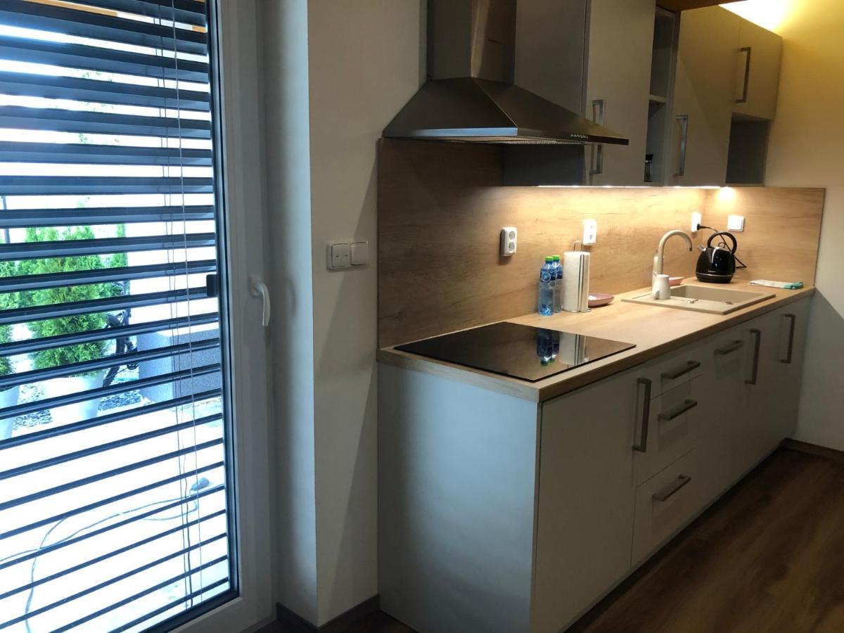 Anico Apartmany Dolni Benesov Exterior foto