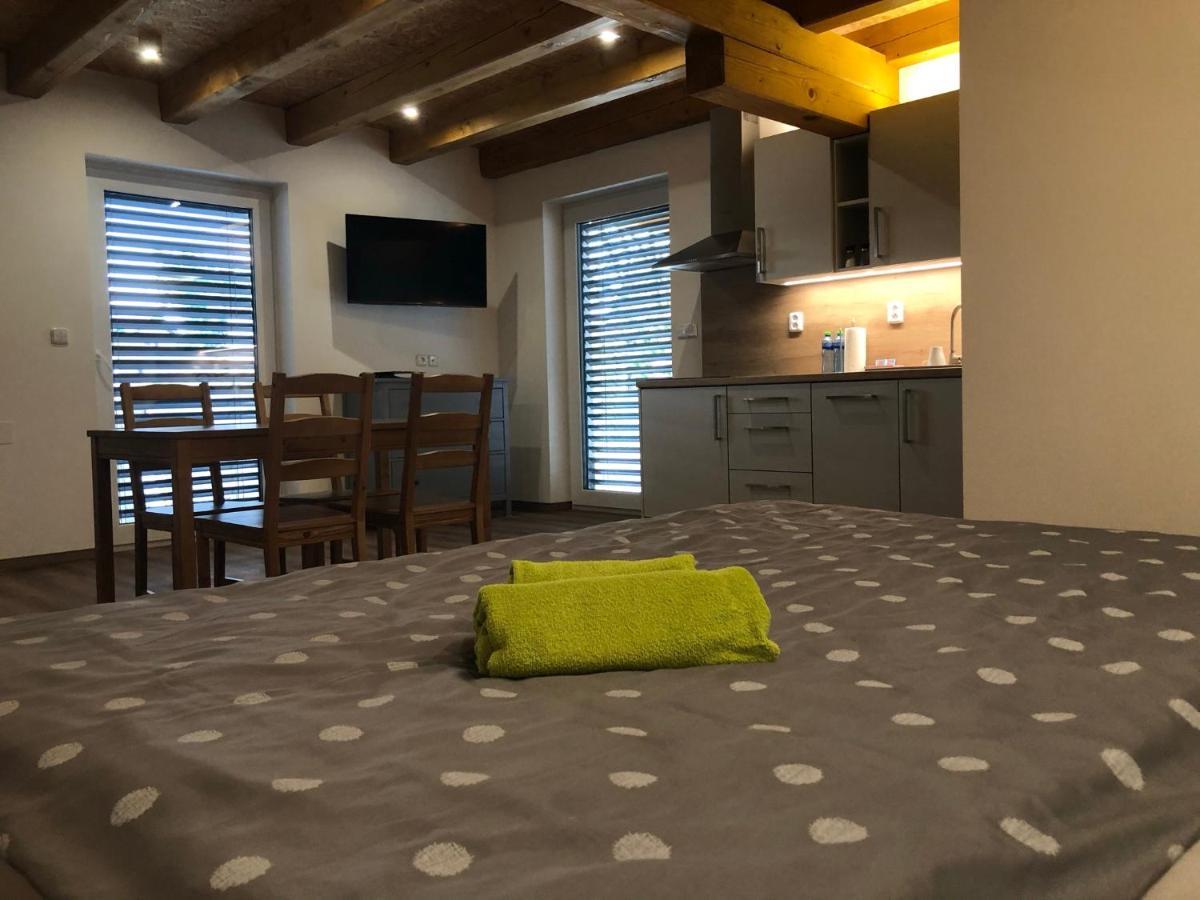 Anico Apartmany Dolni Benesov Exterior foto